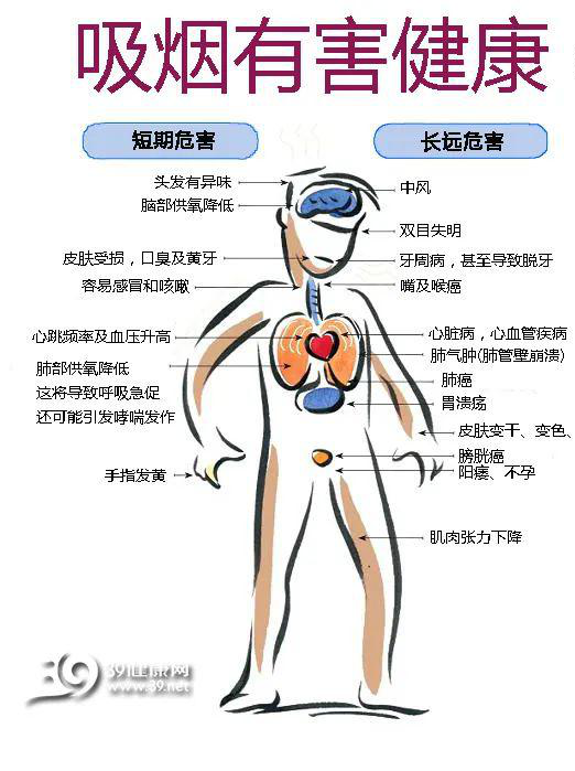 https://mmbiz.qpic.cn/mmbiz_png/aFhYmsQsfS5CxibTET15pKoOFlro05r2EaPhsh3Y0lrCictIllXUYzopLRwN0ZUQ9KPDIY9dYOeaO9gZYG9ugWiaQ/640?wx_fmt=png&tp=webp&wxfrom=5&wx_lazy=1&wx_co=1